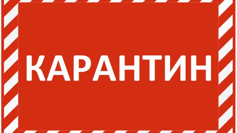 Управление социальной защиты населения приостановило личный прием граждан