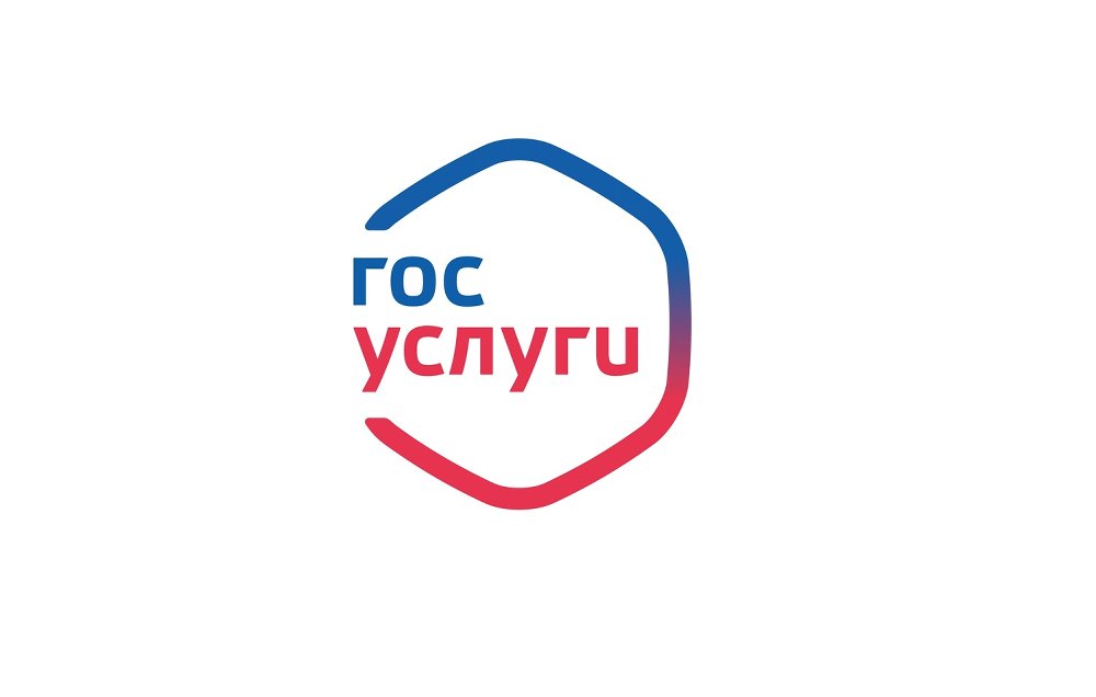 Предоставление государственных и муниципальных услуг в электронной форме