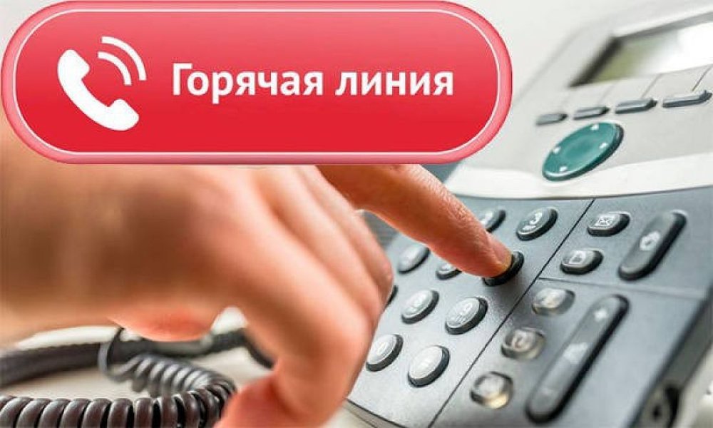 Горячая линия по вопросам установления статуса и предоставления мер социальной поддержки детям погибших участников Великой Отечественной войны и приравненным к ним лицам
