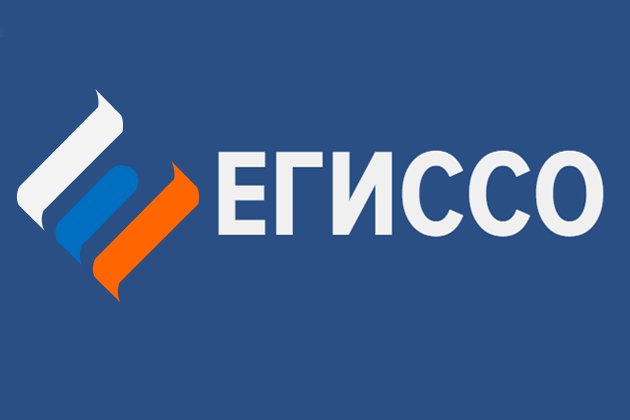 Узнать о своих социальных выплатах можно на сайте ЕГИССО