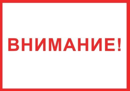 Внесены изменения в Закон «О статусе и дополнительных мерах социальной поддержки многодетной семьи в Челябинской области»