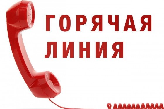 В Еманжелинском районе работает горячая линия по выплатам пособия на детей от 3 до 7 лет
