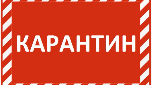 Управление социальной защиты населения приостановило личный прием граждан