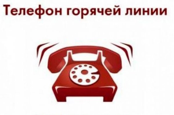 О начале работы «горячей» телефонной линии