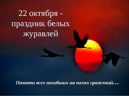 В приюте прошел праздник « Белых Журавлей»