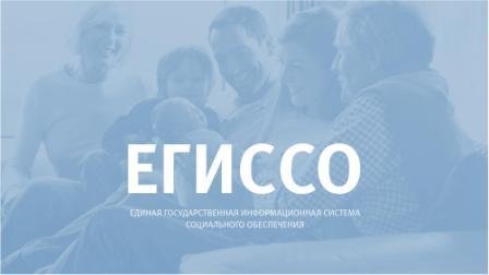 Узнать о своих социальных выплатах можно на сайте ЕГИССО