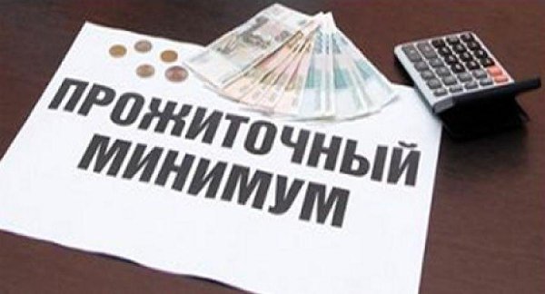 Установлена величина прожиточного минимума в Челябинской области в III квартале 2016 года