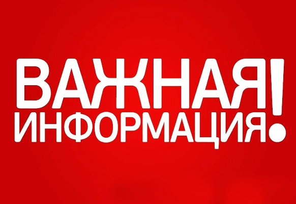 Организация «горячей линии» для одиноких граждан в возрасте старше 60 лет