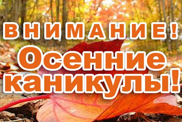 Родителям о безопасности детей во время осенних каникул!