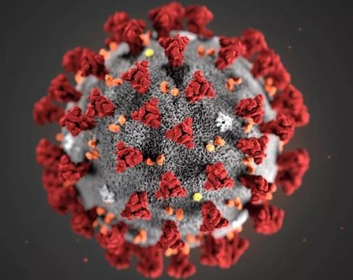 Меры профилактики новой коронавирусной инфекции
